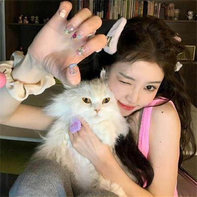 猪与军舰